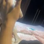 One Amazing Puppy in London