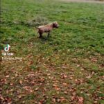 female bully in South Buckinghamshire