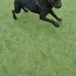 male bully in South Buckinghamshire