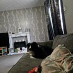 for sale in Amber Valley
