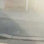 Loving dog needs a new home in Wigan
