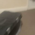 Two Male Ferrets For Sale in Blaenau Gwent