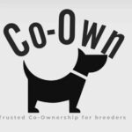 Looking To Co-Own in Southampton
