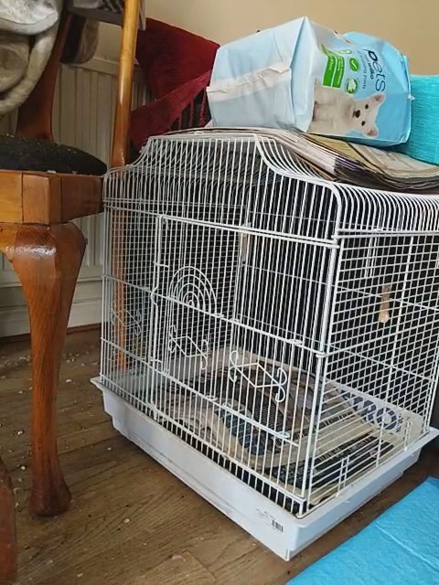 Bird cage for sale! in London