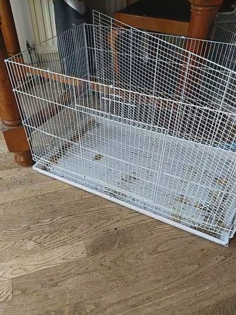 Bird cage for sale! in London
