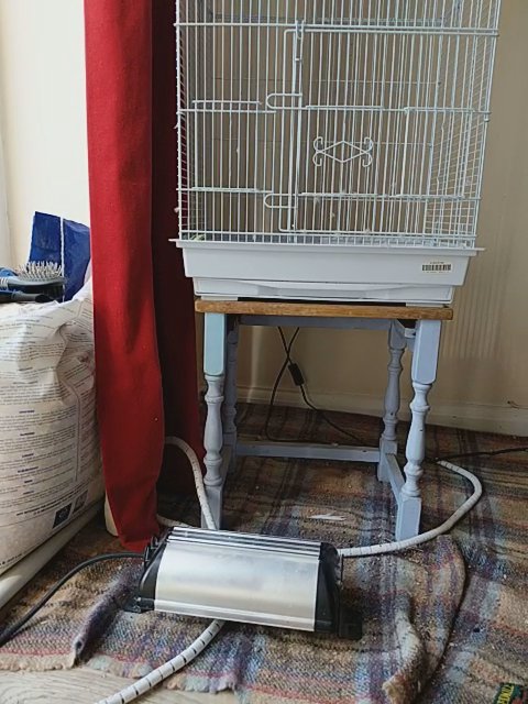 Bird cage for sale! in London