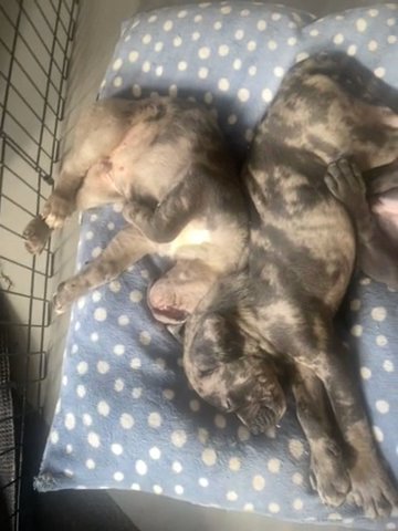 Nap Time in London