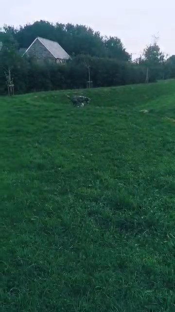Bully kutta cross in West Devon