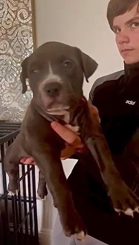 Blue Female in Merthyr Tydfil