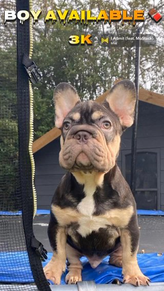 Big Rope Boy in Cheshire East