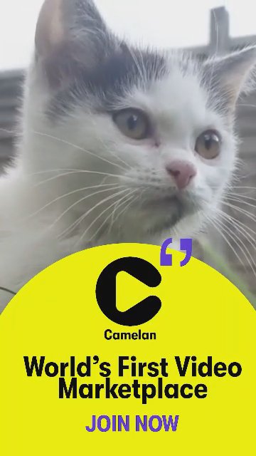 QA333