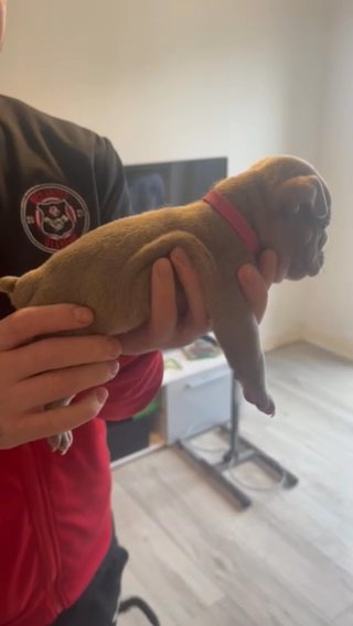 Pinky in Glasgow