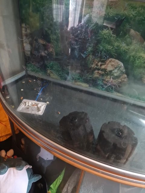 6ft fish tank in Oldham