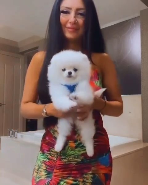lucy in London
