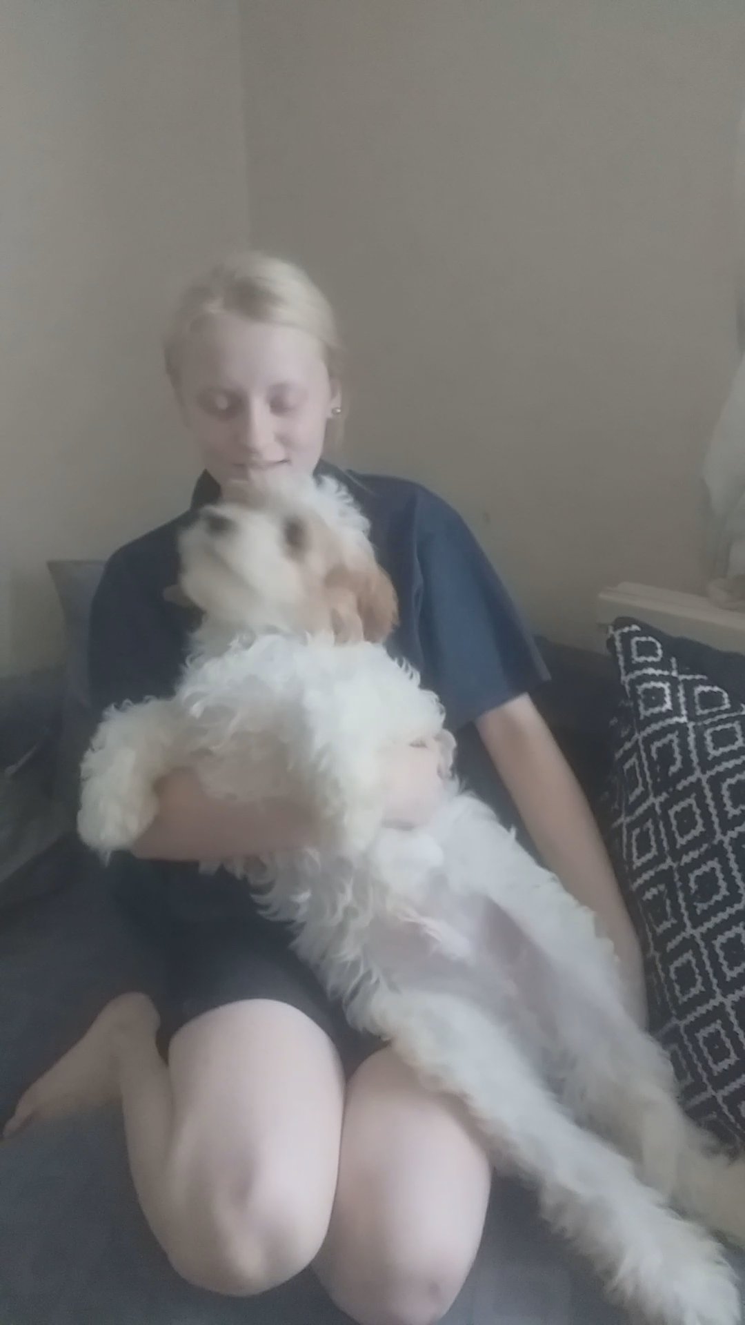 cavapoo boy 4month old in London