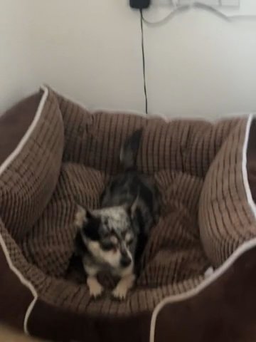Chi in Kingston upon Hull