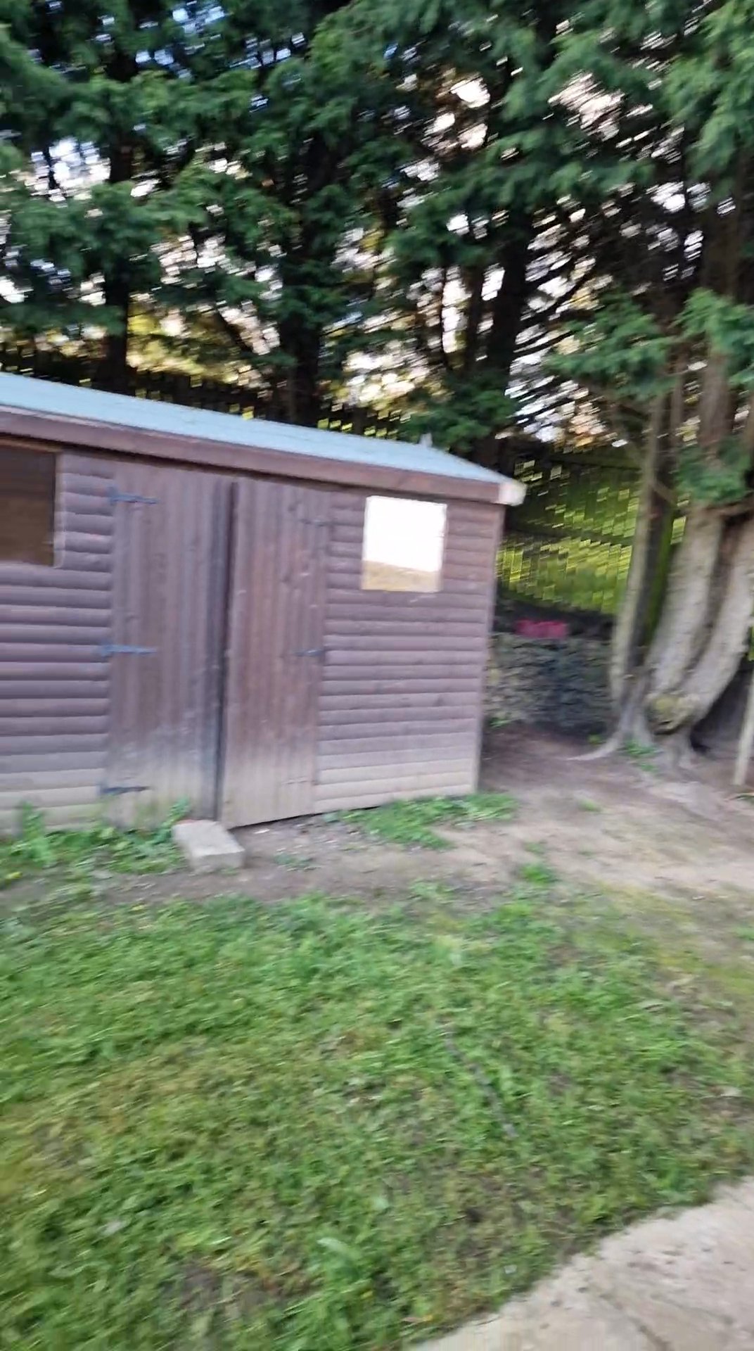 shed /summer house in Bradford