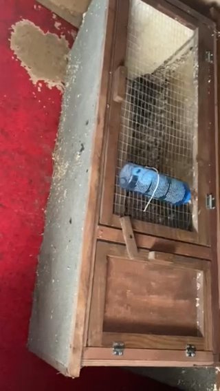 Brand New Rabbit Hutch in Rhondda Cynon Taf