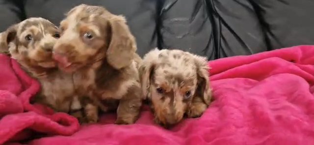 Miniature 2 boys left in Birmingham