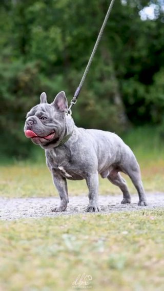 Big Rope Stud in North Warwickshire