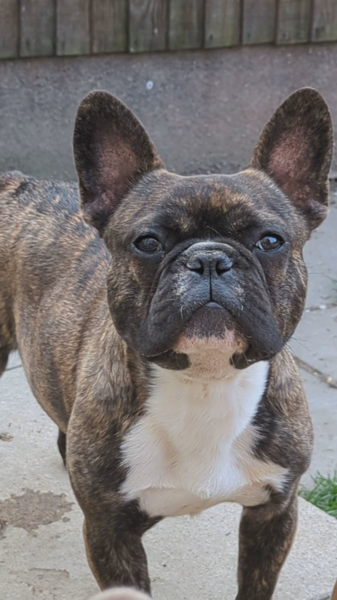 gorgeous young boy ?for a ? in Barnsley