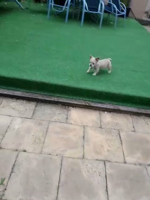 So adorable in London