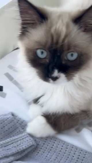Sweet Baby Girl in London