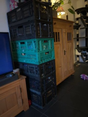 Around 800/900 New Pet Items Joblot in Blaenau Gwent