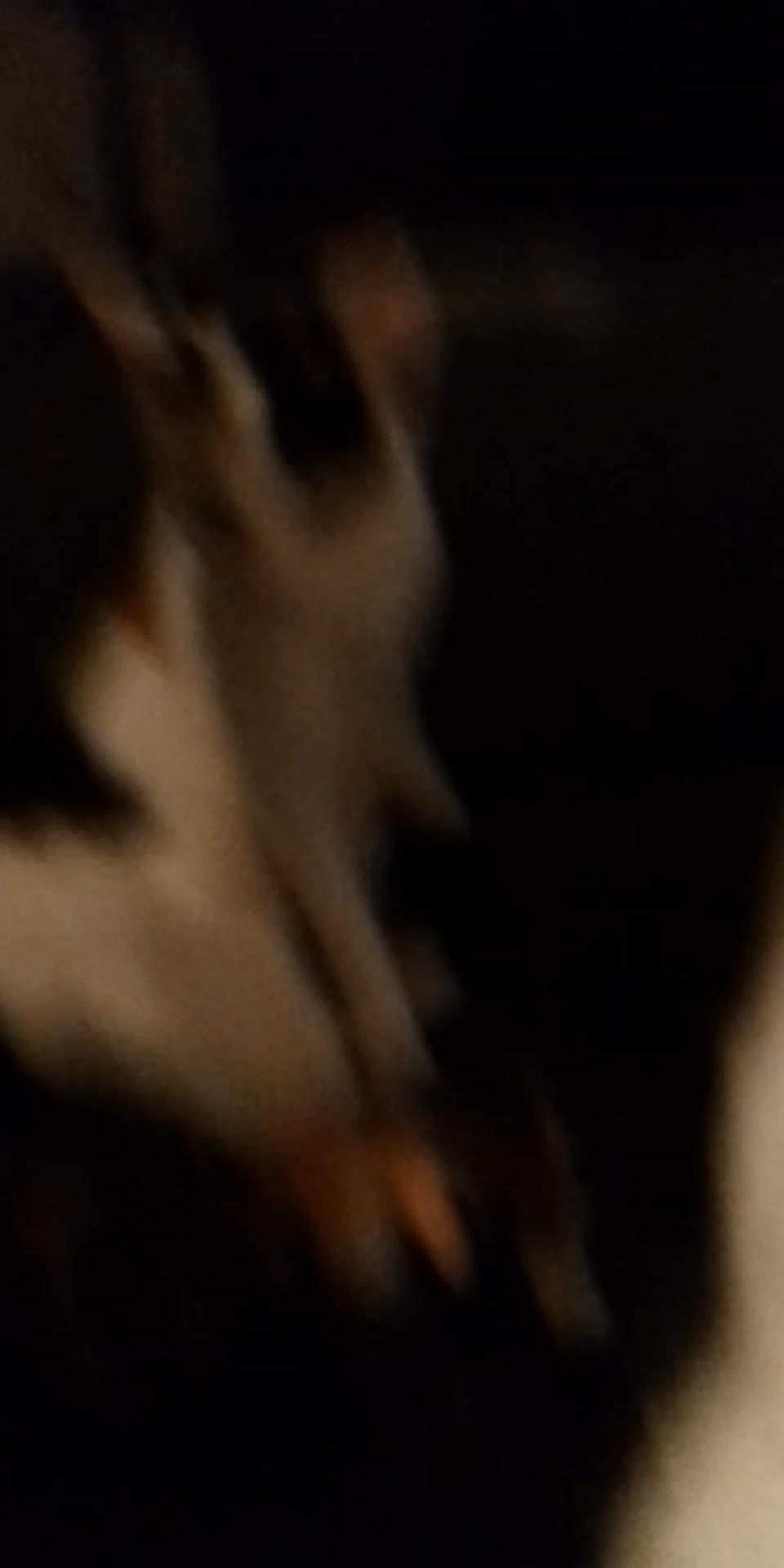 cat in Derby