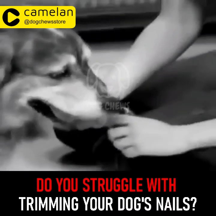 Electric Nail Trimmer for Dogs and Cats