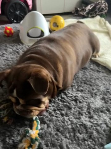 Coco