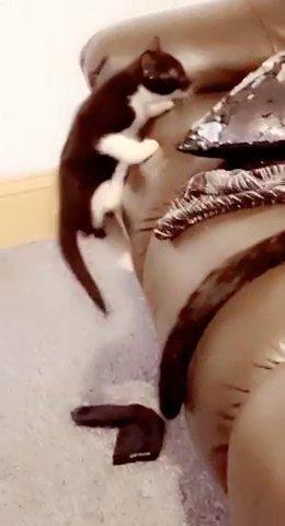 sweet cute