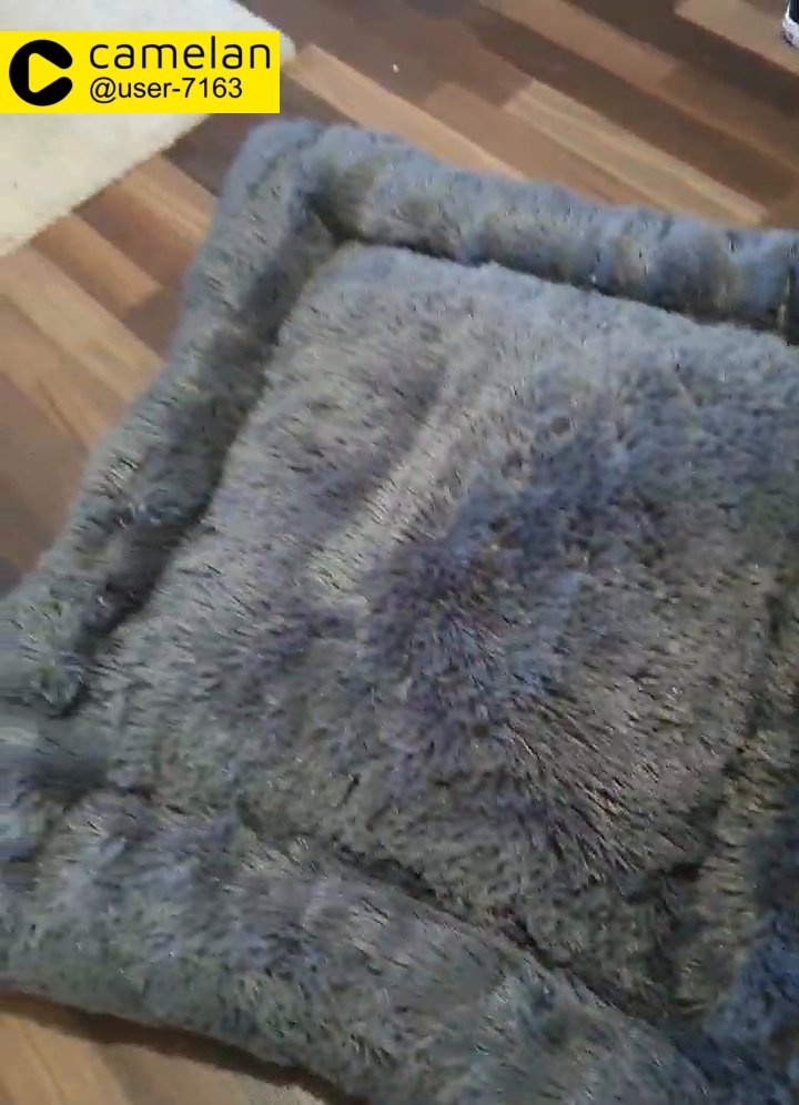 dog beds