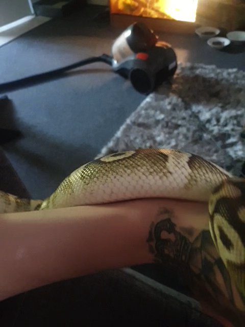 python