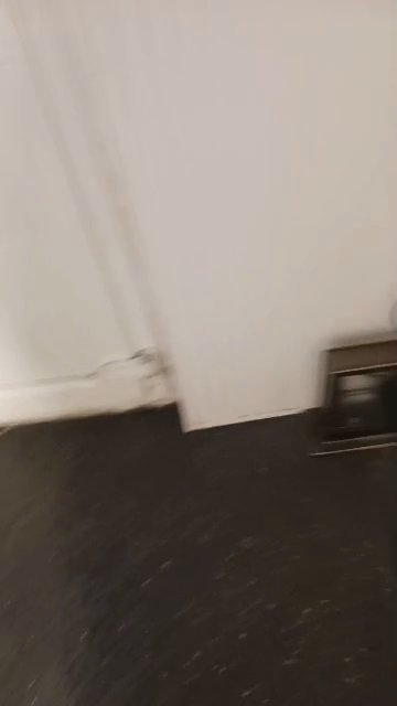 Cockapoo’s