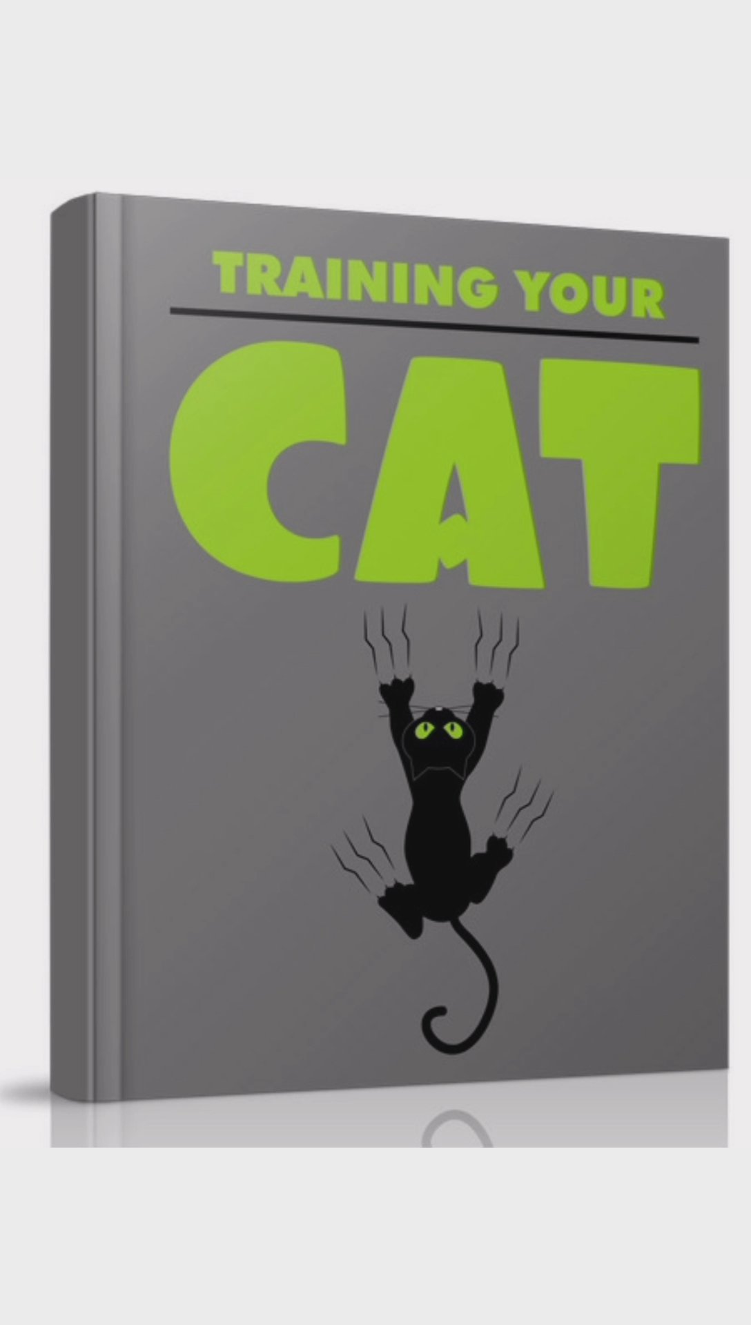 cat teaching book?
