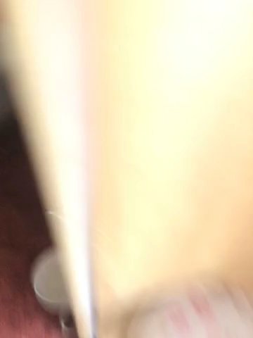 3 kittens
