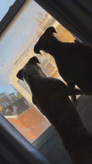Faye and JoJo