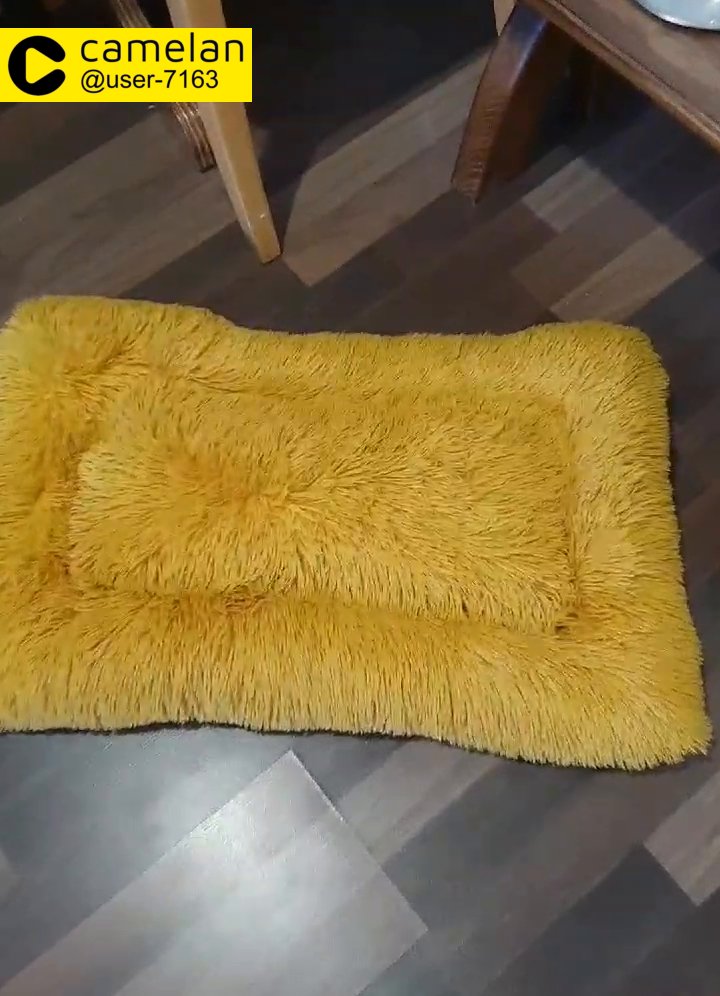 dog bed