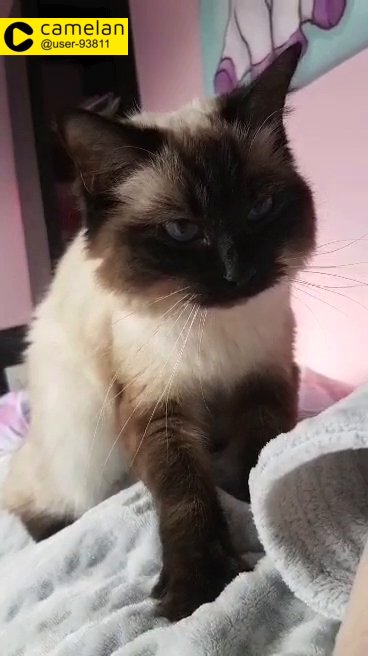 MISSING/STOLEN