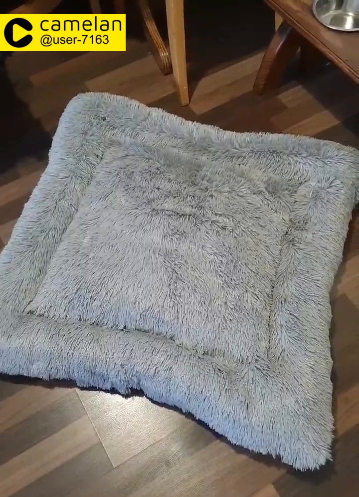 dog beds