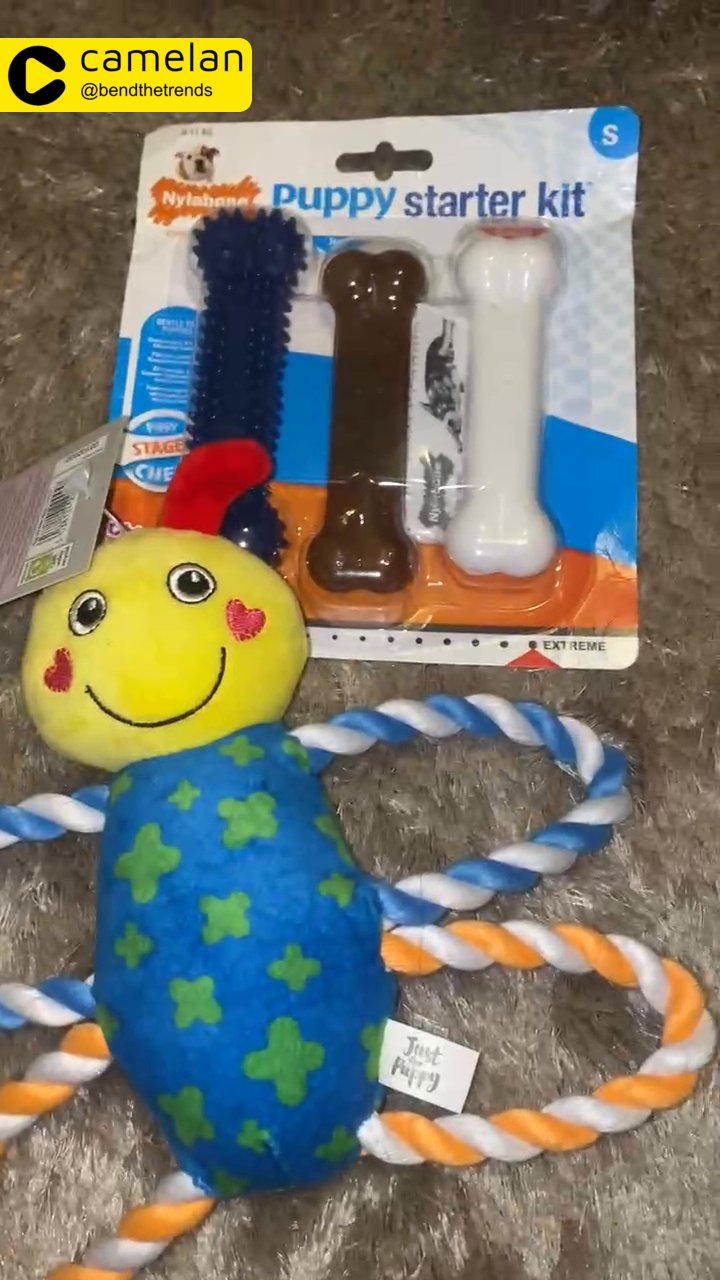 puppy toy bundle