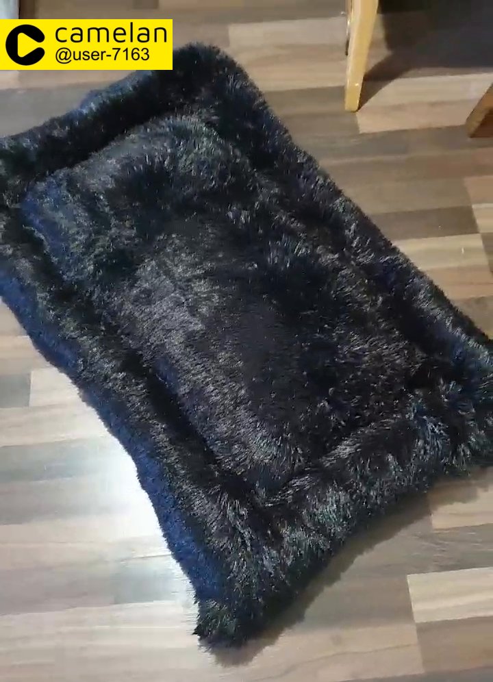 dogs bed