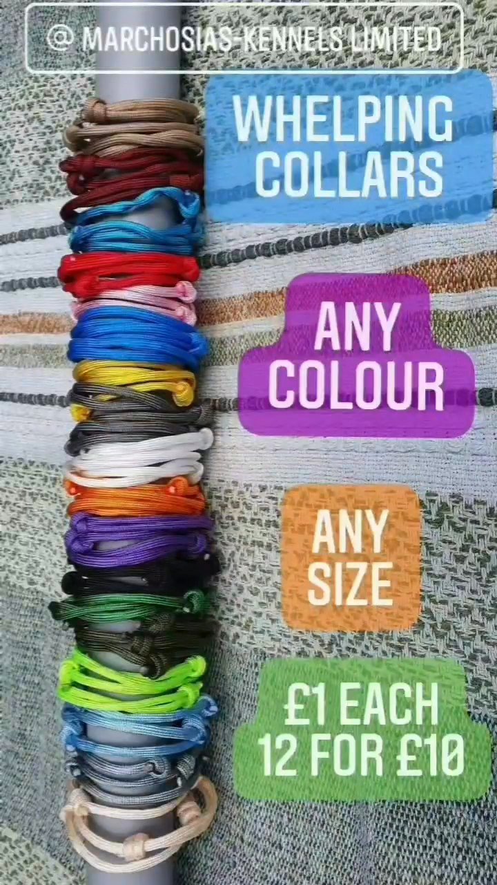 whelping collars