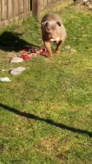 Odin