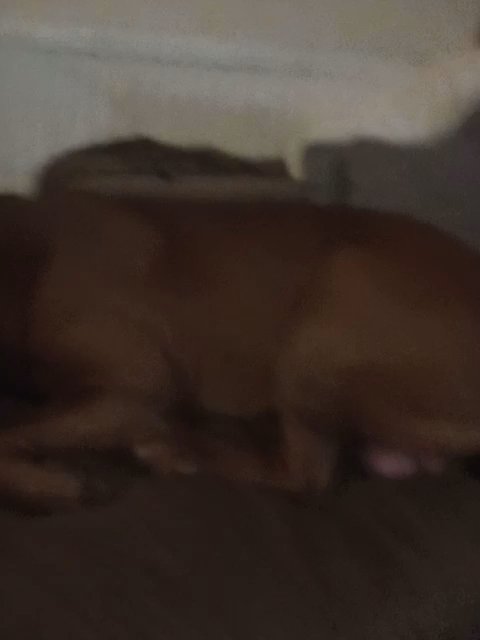 Henry sleeping