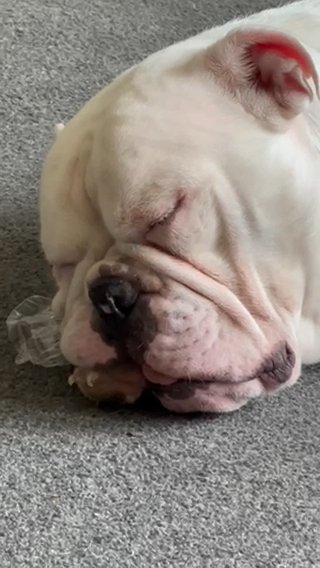 Reggie
