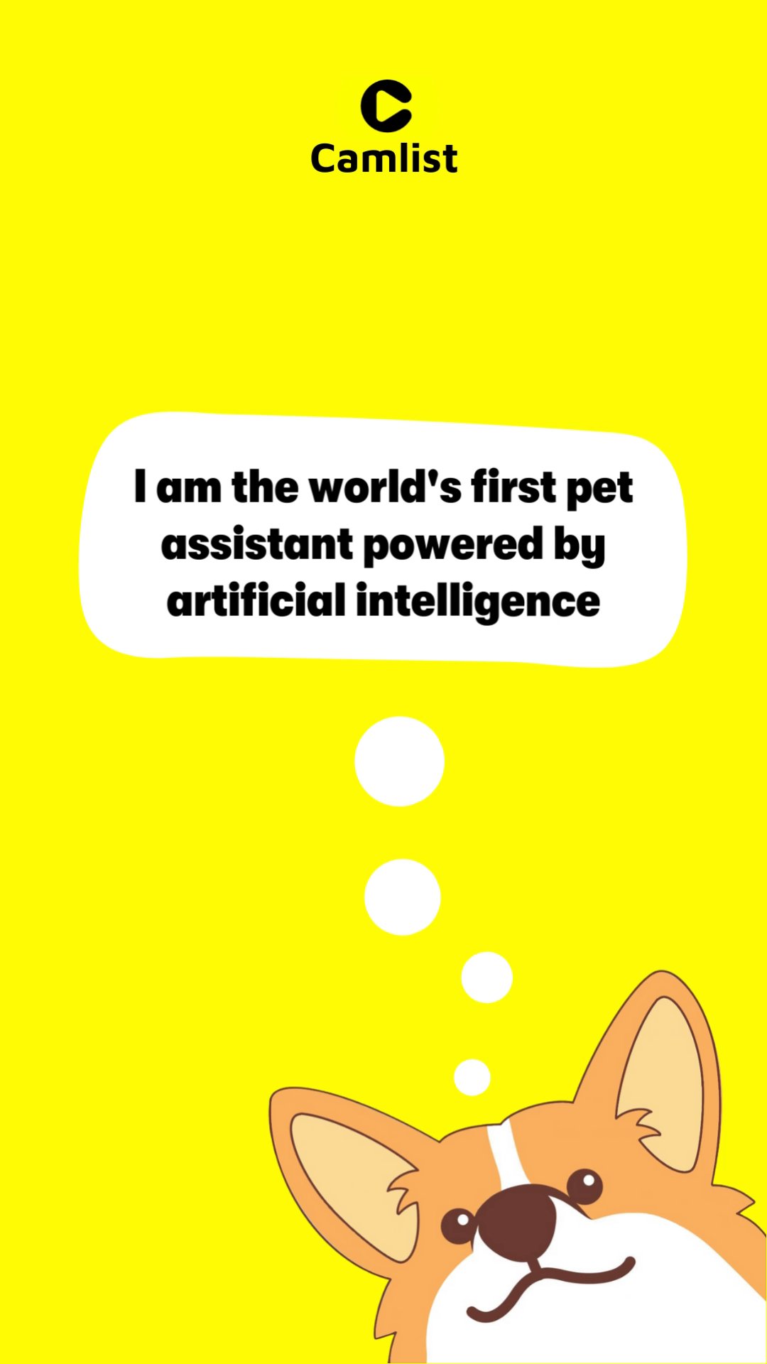 Ask me anything related to pets!