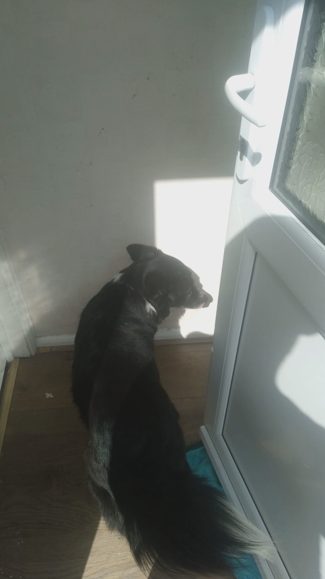 luna
