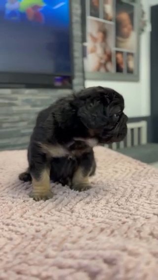 Fluffy Big Rope